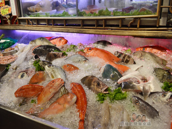 海釣族05-高價魚