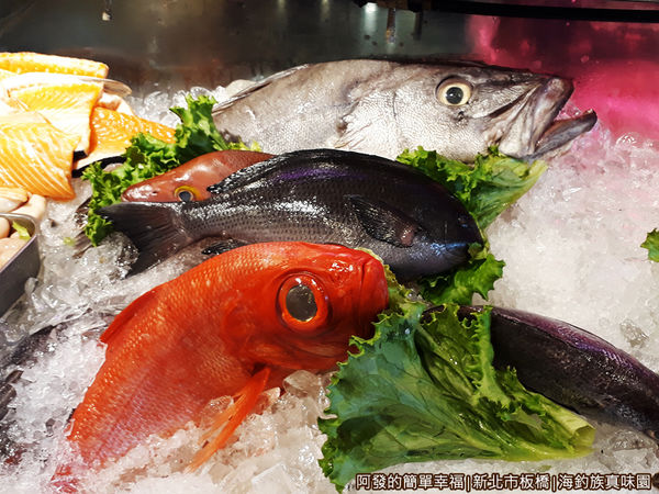 海釣族真味園05-現流海鮮區特寫