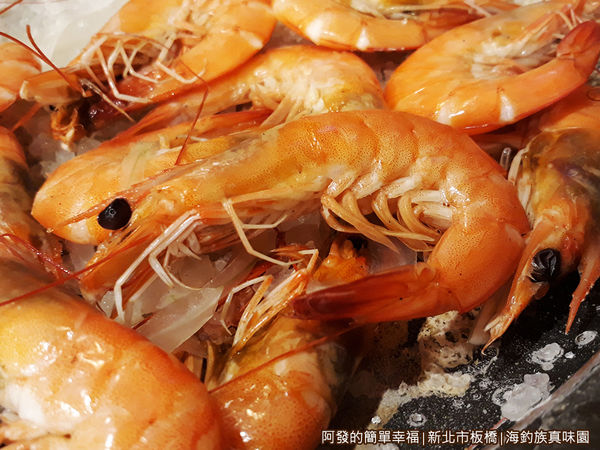 海釣族真味園15-鹽烤活海蝦特寫