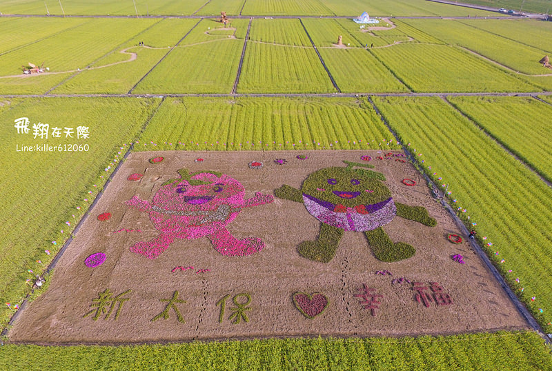 PhotoGrid_1485161611650