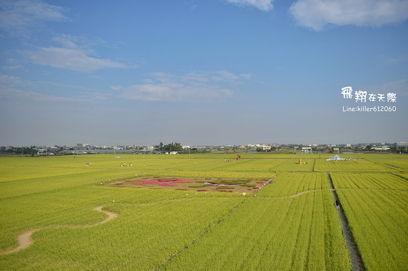 PhotoGrid_1485168956055