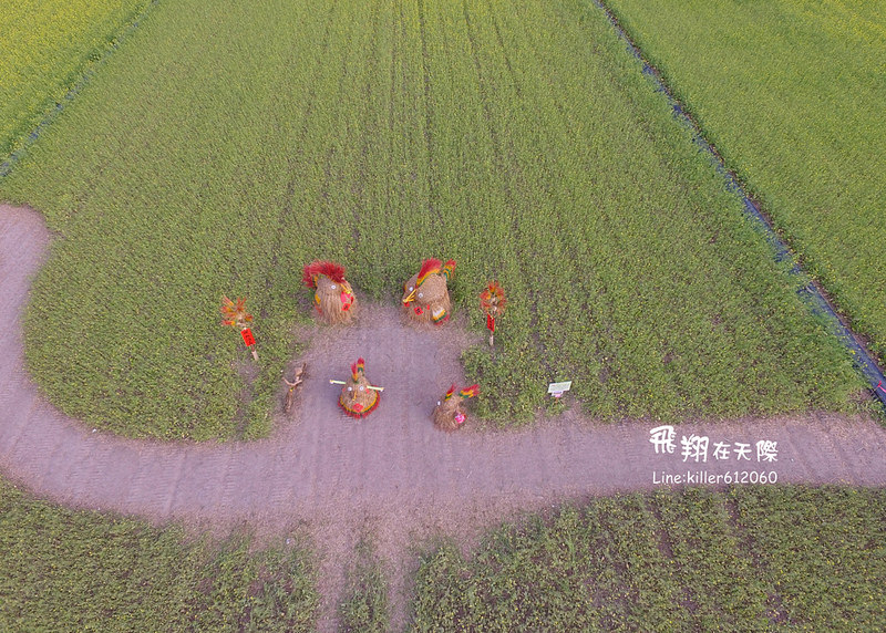 PhotoGrid_1485161349641