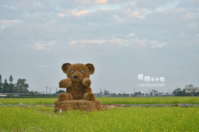 PhotoGrid_1485168833553