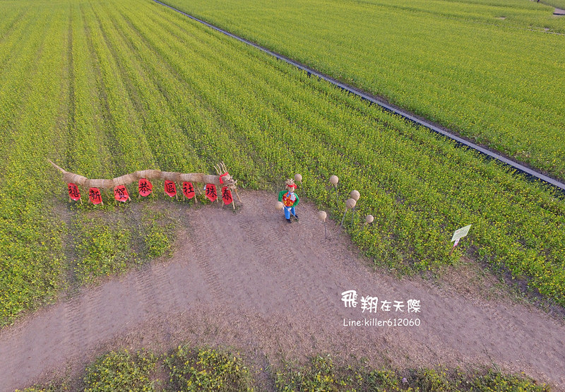 PhotoGrid_1485161491776