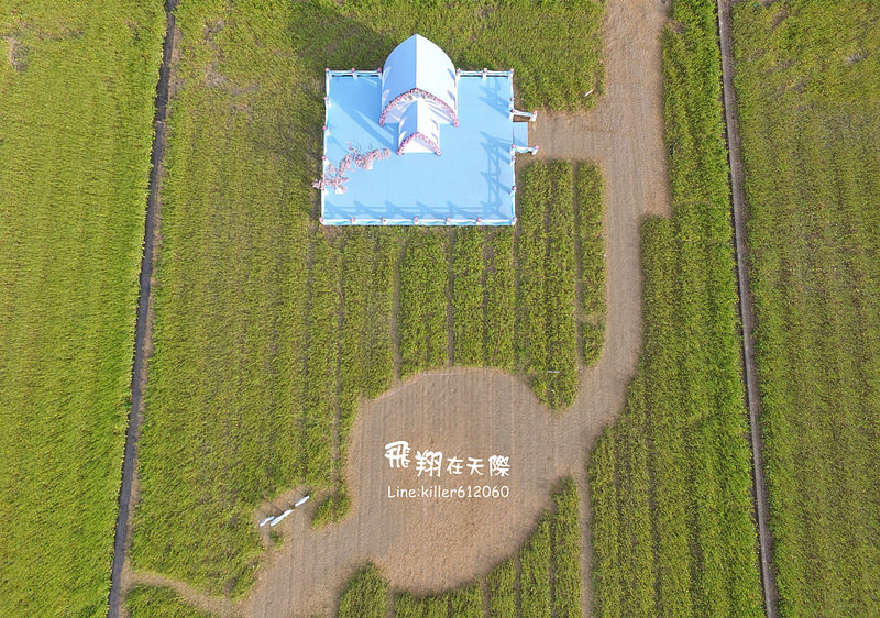 PhotoGrid_1485161393467