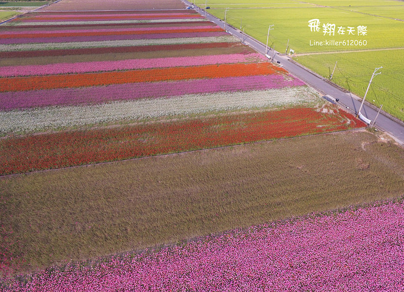 PhotoGrid_1485161219329