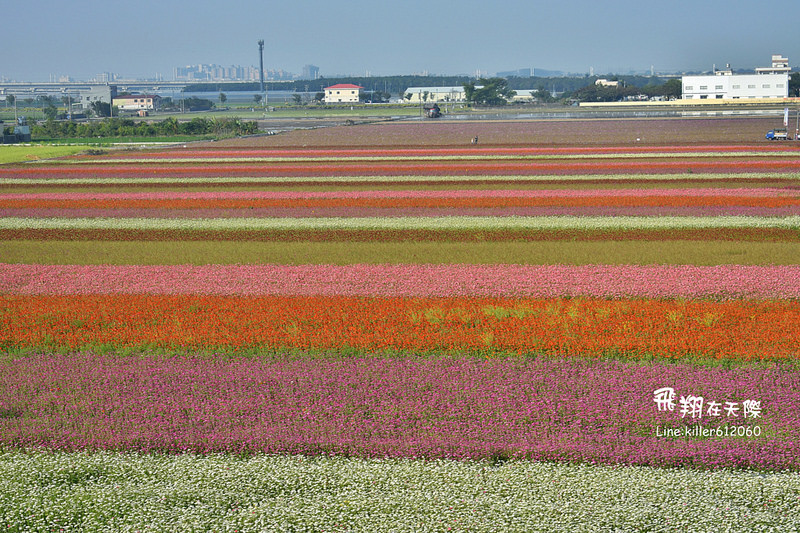 PhotoGrid_1485168860634