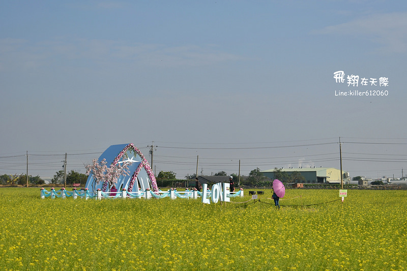 PhotoGrid_1485168901988