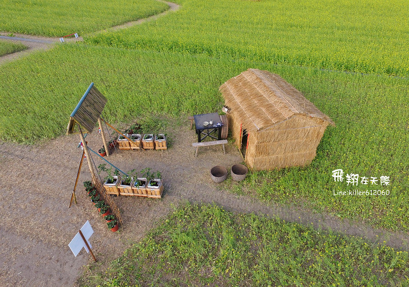 PhotoGrid_1485160949771