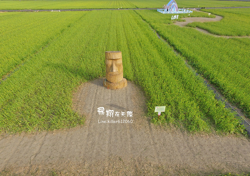 PhotoGrid_1485161431555