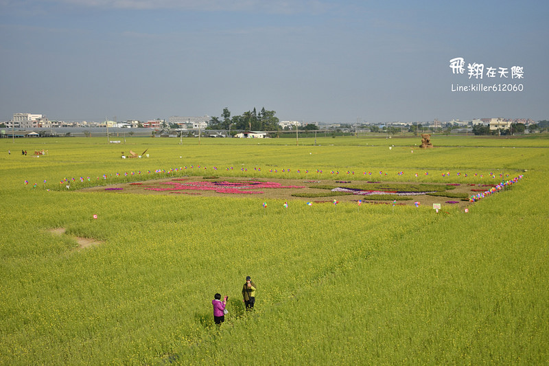 PhotoGrid_1485169085292