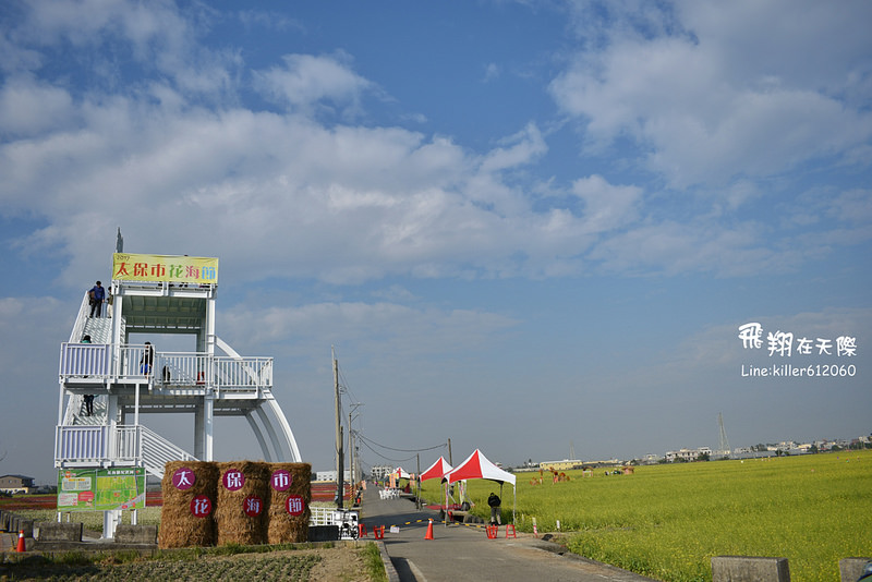 PhotoGrid_1485169157583