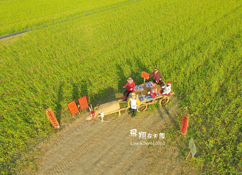 PhotoGrid_1485161301994