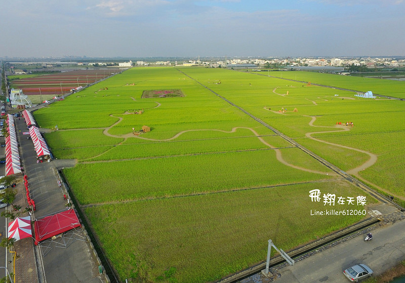 PhotoGrid_1485161001693