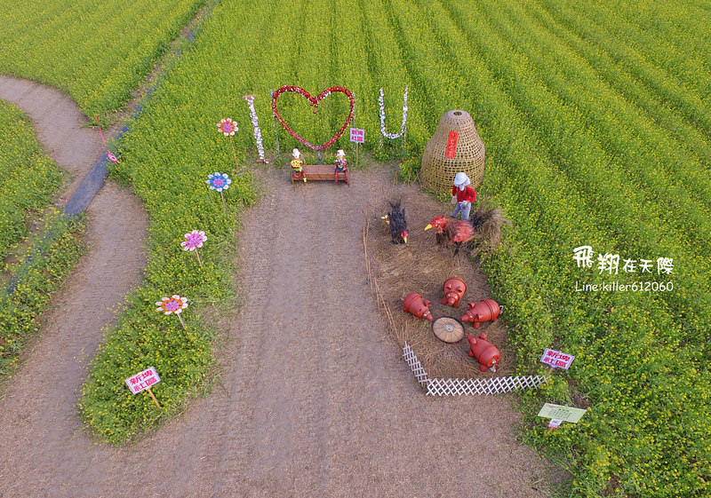 PhotoGrid_1485161274218