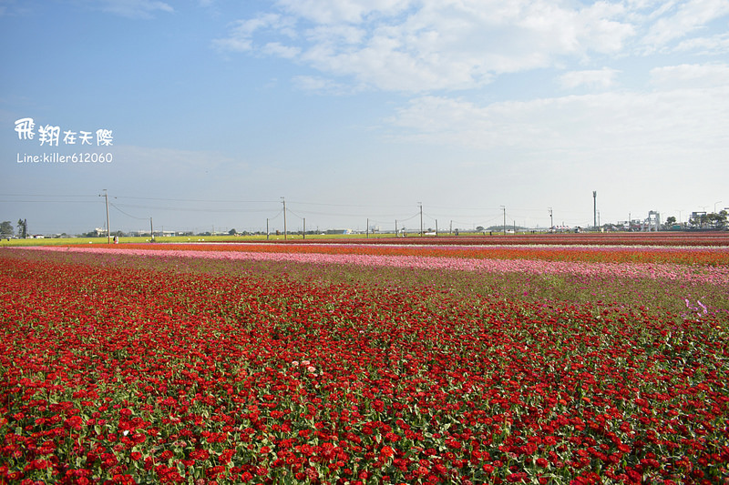 PhotoGrid_1485169229743