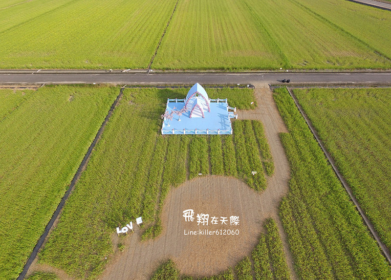 PhotoGrid_1485161457271