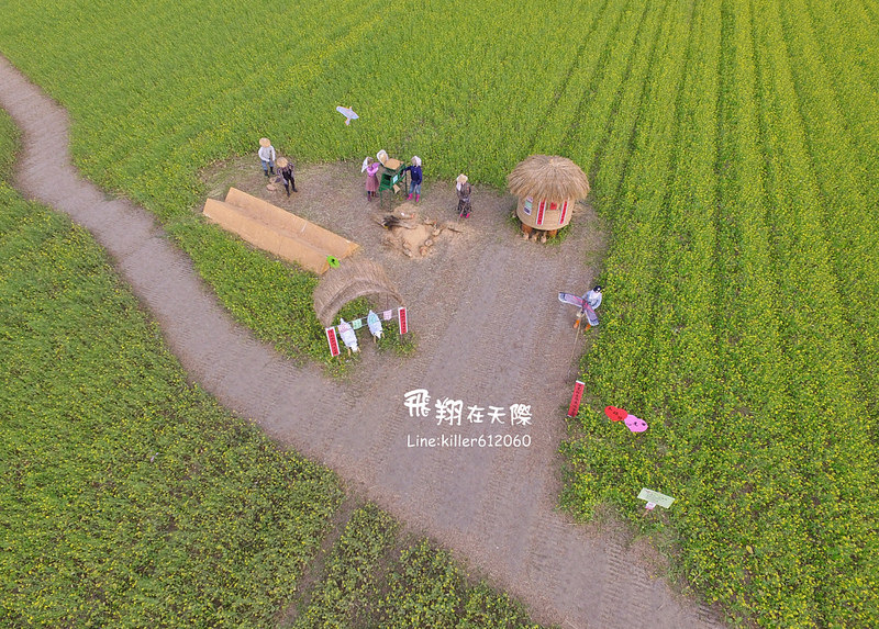 PhotoGrid_1485161371369