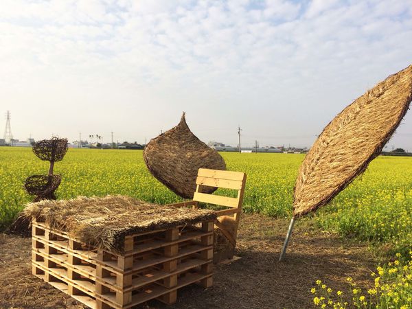 ●嘉義旅遊●太保花海節/太保里高鐵附近/賞花海/遊教堂/親子活動約會