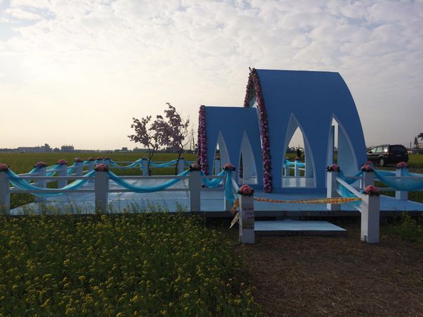 ●嘉義旅遊●太保花海節/太保里高鐵附近/賞花海/遊教堂/親子活動約會