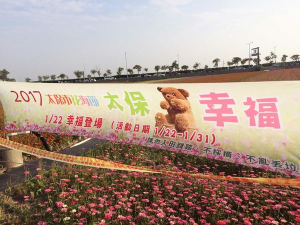 ●嘉義旅遊●太保花海節/太保里高鐵附近/賞花海/遊教堂/親子活動約會