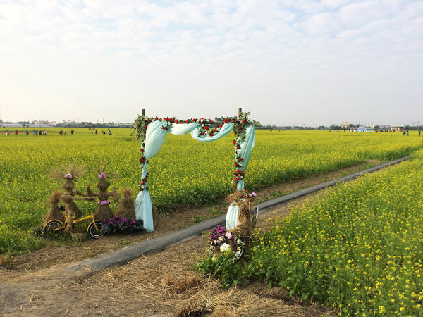 ●嘉義旅遊●太保花海節/太保里高鐵附近/賞花海/遊教堂/親子活動約會