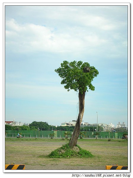☆台南☆夕遊出張所 尋找自己的生日彩鹽