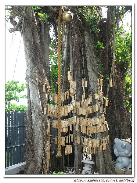 ☆台南☆夕遊出張所 尋找自己的生日彩鹽