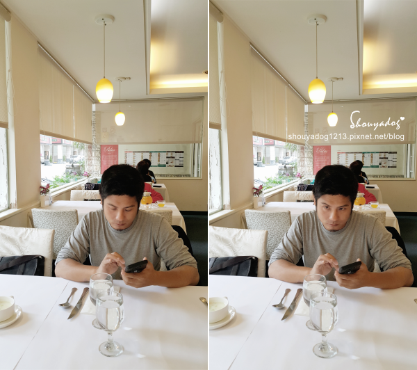 棕櫚：【複合式餐廳】棕櫚in鶯歌