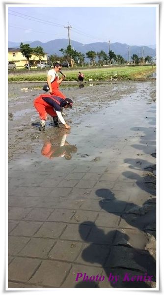 17155909_1609741435709235_4321011783058146742_n