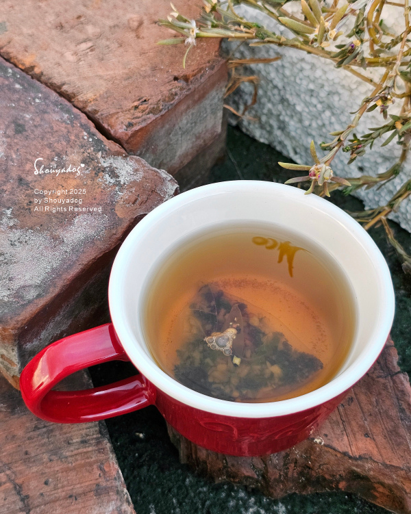 行健有機夢想村 無麩質純米蛋捲 無咖啡因玄米茶 好晶采 好舒 行健有機夢想村 無麩質純米蛋捲 無咖啡因玄米茶 好晶采 好舒