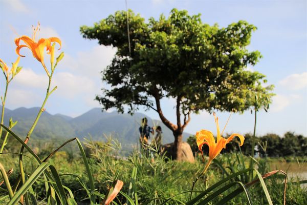 水一方秘境:【新北市三芝景點】田心子~水一方秘境,婚紗美拍基地,IG熱門打卡景點