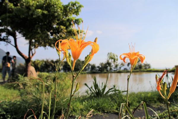 水一方秘境:【新北市三芝景點】田心子~水一方秘境,婚紗美拍基地,IG熱門打卡景點