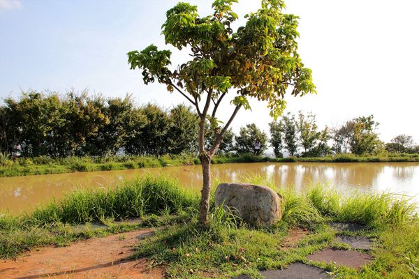 水一方秘境:【新北市三芝景點】田心子~水一方秘境,婚紗美拍基地,IG熱門打卡景點