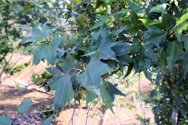 水一方秘境:【新北市三芝景點】田心子~水一方秘境,婚紗美拍基地,IG熱門打卡景點