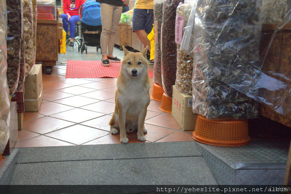 AO3A1884.CR2.jpg AO3A1884.CR2.jpg