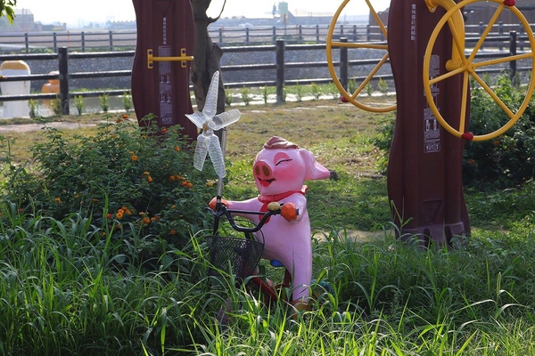 嘉興社區農塘小豬公園：【雲林景點】大埤嘉興社區農塘小豬公園~沉靜在浪漫幸福的國度的白天鵝