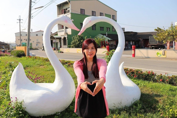 嘉興社區農塘小豬公園：【雲林景點】大埤嘉興社區農塘小豬公園~沉靜在浪漫幸福的國度的白天鵝