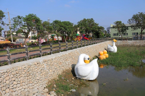 嘉興社區農塘小豬公園：【雲林景點】大埤嘉興社區農塘小豬公園~沉靜在浪漫幸福的國度的白天鵝