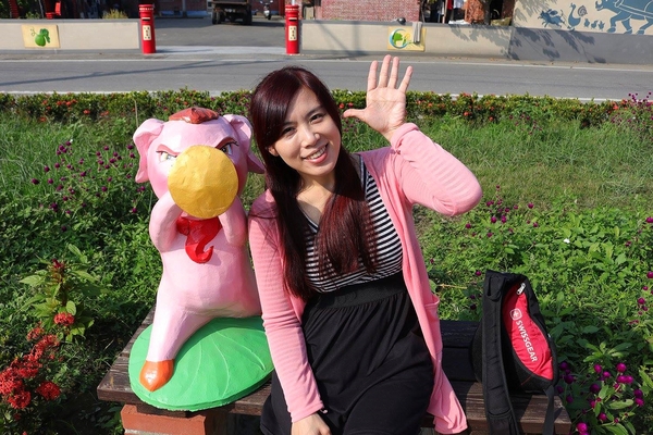 嘉興社區農塘小豬公園：【雲林景點】大埤嘉興社區農塘小豬公園~沉靜在浪漫幸福的國度的白天鵝