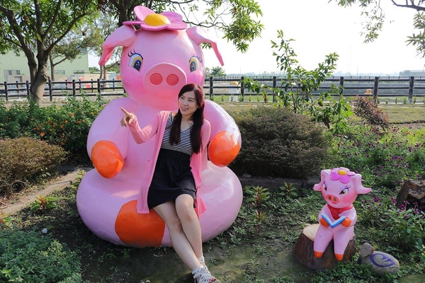 嘉興社區農塘小豬公園：【雲林景點】大埤嘉興社區農塘小豬公園~沉靜在浪漫幸福的國度的白天鵝