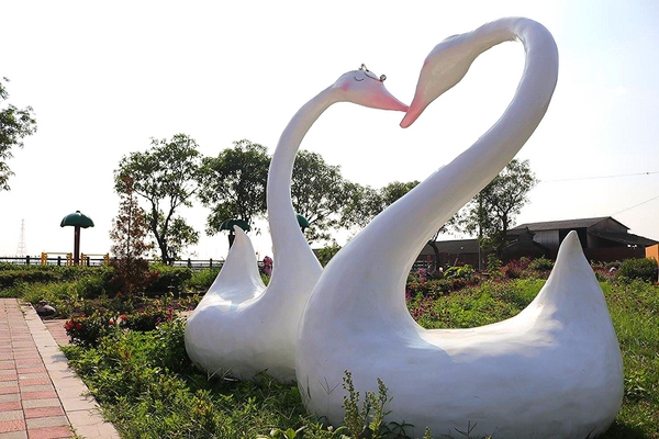 嘉興社區農塘小豬公園：【雲林景點】大埤嘉興社區農塘小豬公園~沉靜在浪漫幸福的國度的白天鵝