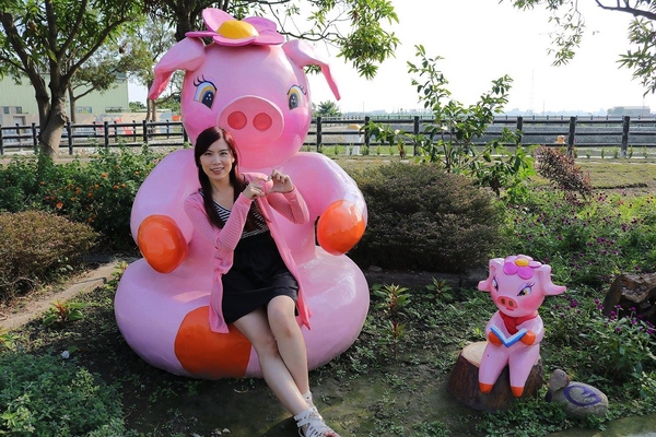 嘉興社區農塘小豬公園：【雲林景點】大埤嘉興社區農塘小豬公園~沉靜在浪漫幸福的國度的白天鵝