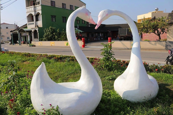 嘉興社區農塘小豬公園：【雲林景點】大埤嘉興社區農塘小豬公園~沉靜在浪漫幸福的國度的白天鵝