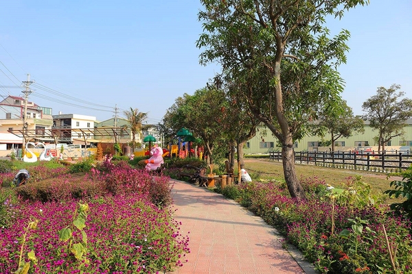 嘉興社區農塘小豬公園：【雲林景點】大埤嘉興社區農塘小豬公園~沉靜在浪漫幸福的國度的白天鵝