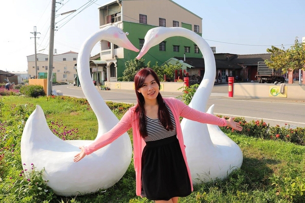 嘉興社區農塘小豬公園：【雲林景點】大埤嘉興社區農塘小豬公園~沉靜在浪漫幸福的國度的白天鵝