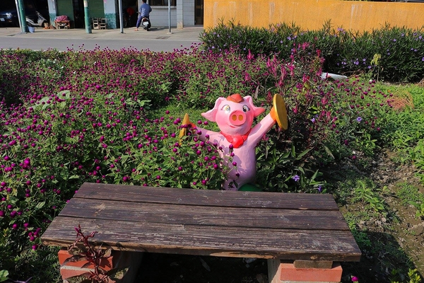 嘉興社區農塘小豬公園：【雲林景點】大埤嘉興社區農塘小豬公園~沉靜在浪漫幸福的國度的白天鵝