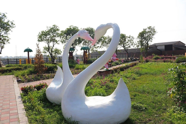 嘉興社區農塘小豬公園：【雲林景點】大埤嘉興社區農塘小豬公園~沉靜在浪漫幸福的國度的白天鵝