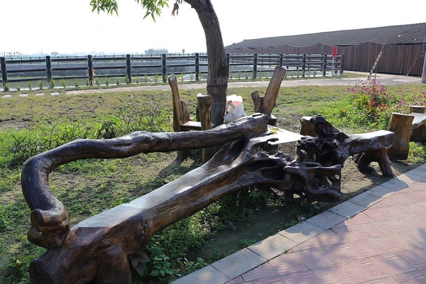 嘉興社區農塘小豬公園：【雲林景點】大埤嘉興社區農塘小豬公園~沉靜在浪漫幸福的國度的白天鵝