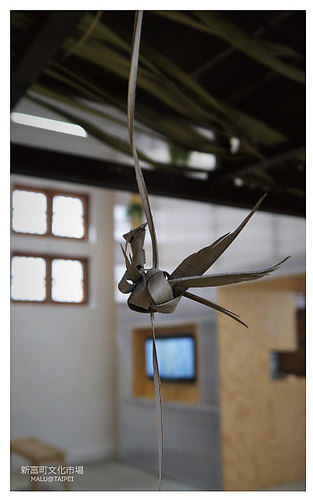 新富町文化市場-10